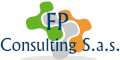 FP Consulting 